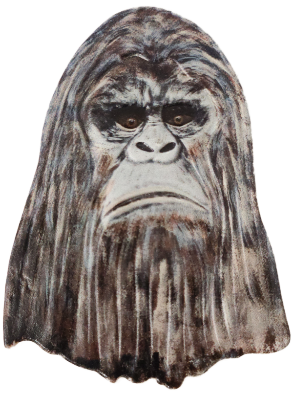 A gorilla mask is shown in this picture.