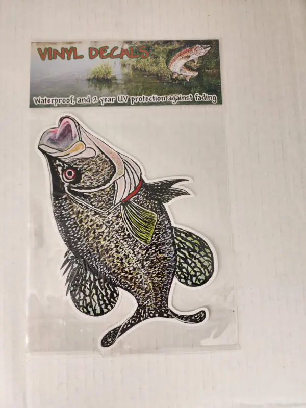 A sticker of a fish on the side of a wall.