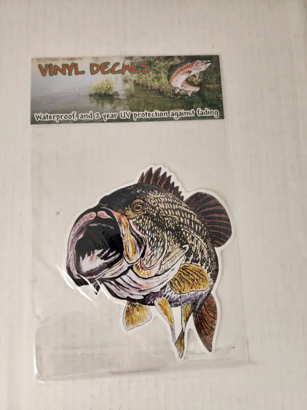 A fish is shown in front of a picture.