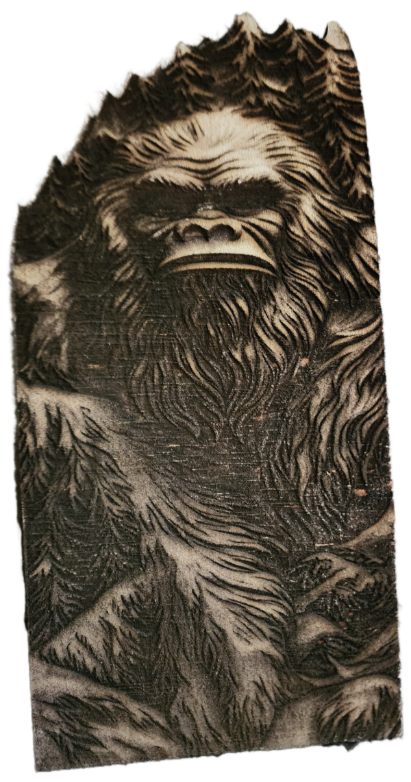 A drawing of a bigfoot monster with long hair.