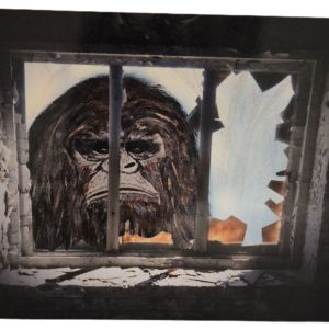 A gorilla looking out of the window through bars.