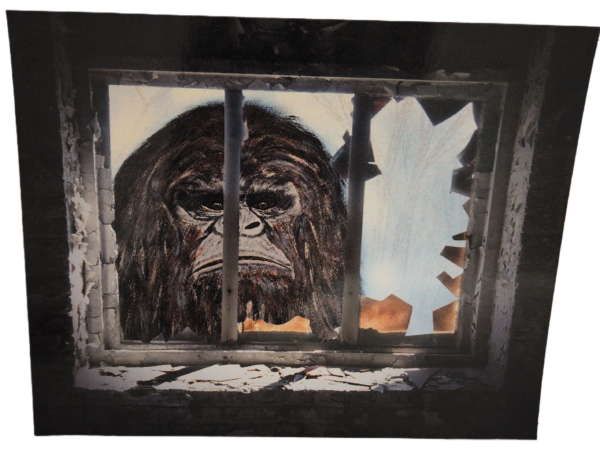 A gorilla looking out of the window through bars.