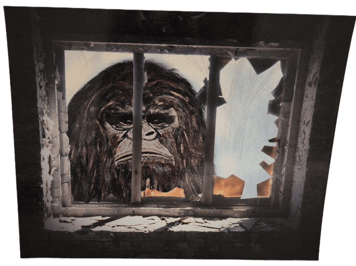 A gorilla looking out of the window through bars.