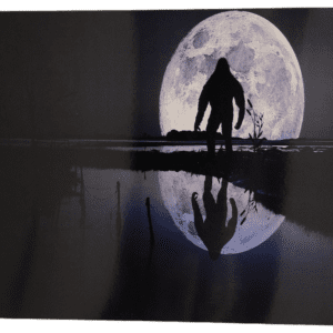 A person standing in front of the moon