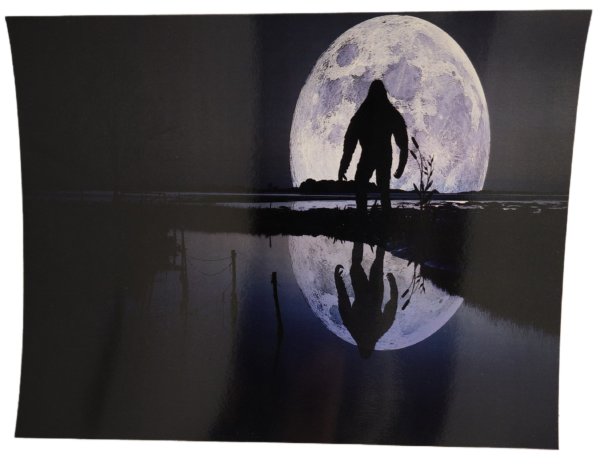 A person standing in front of the moon