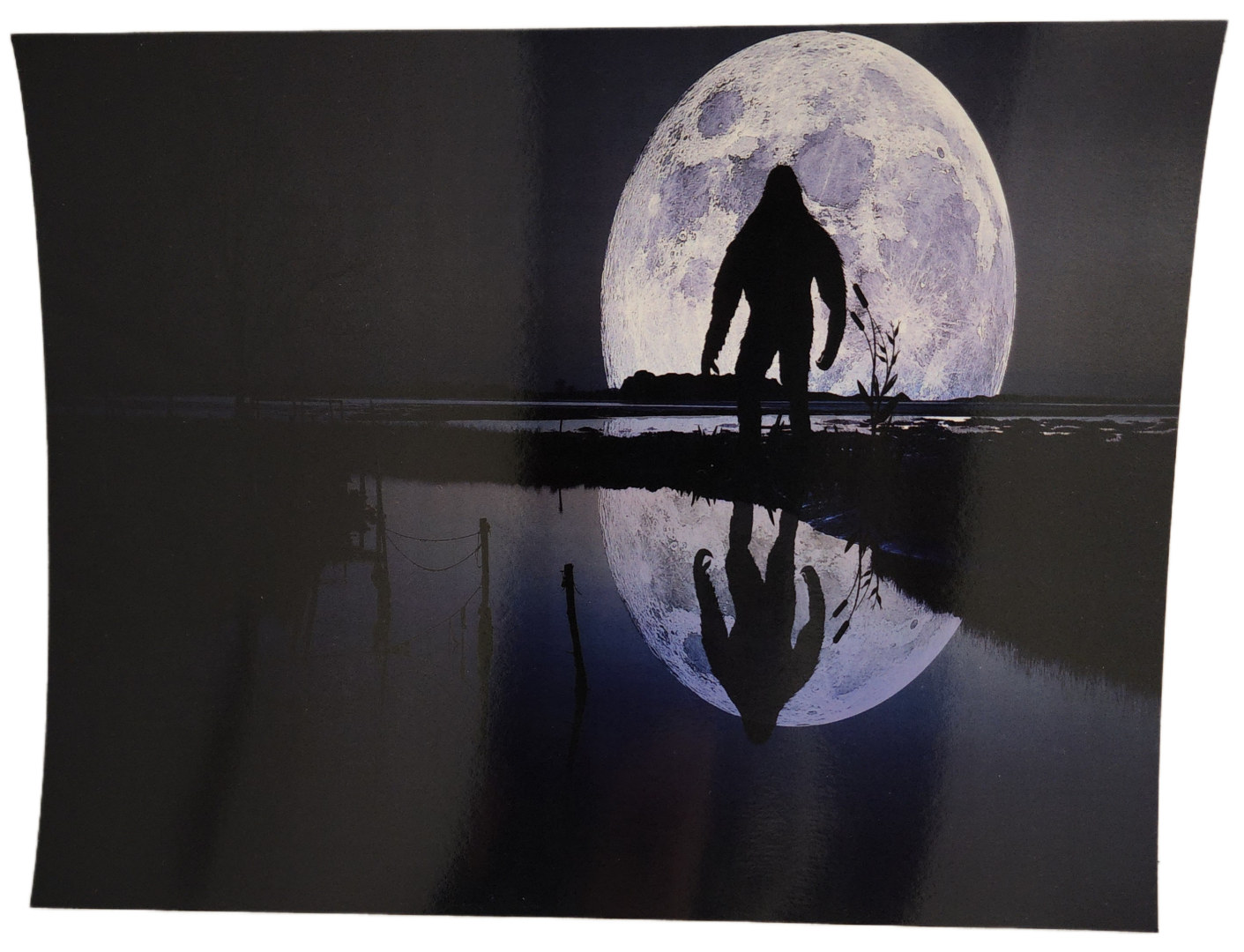 A person standing in front of the moon