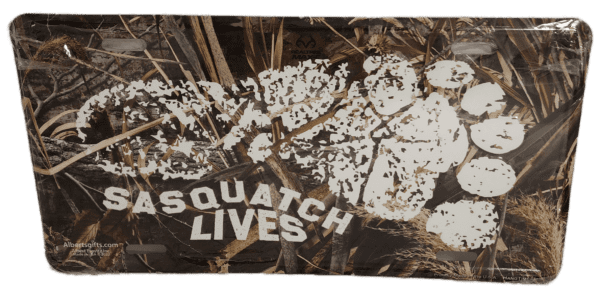 A picture of the back side of a wall with squatch lives written on it.