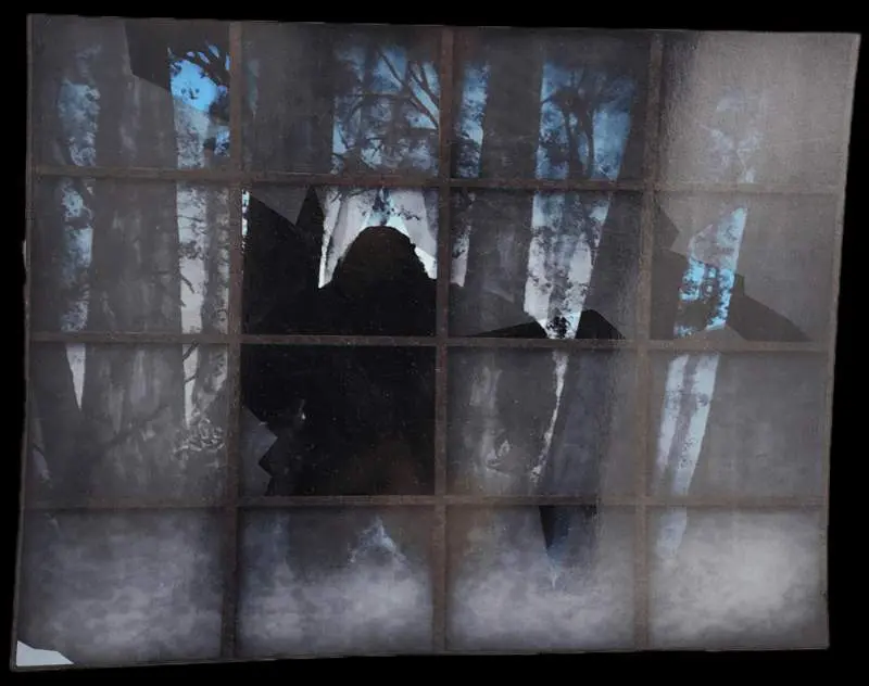 A bear is standing in the window of a house.