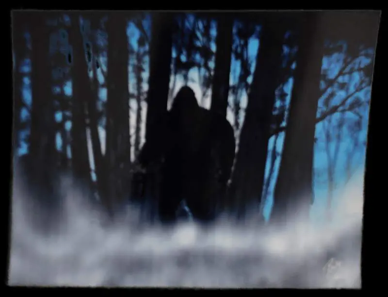 A person standing in the woods with smoke coming from their feet.