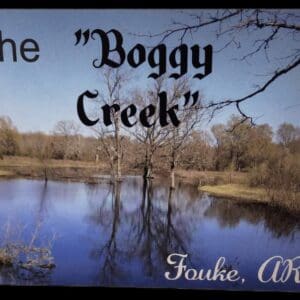 A picture of the boggy creek in fouke, arkansas.