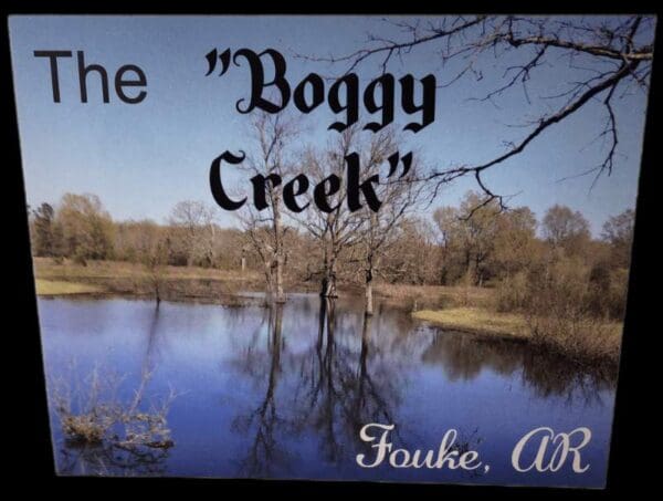 A picture of the boggy creek in fouke, arkansas.