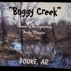 A picture of the boggy creek in fouke, ar.