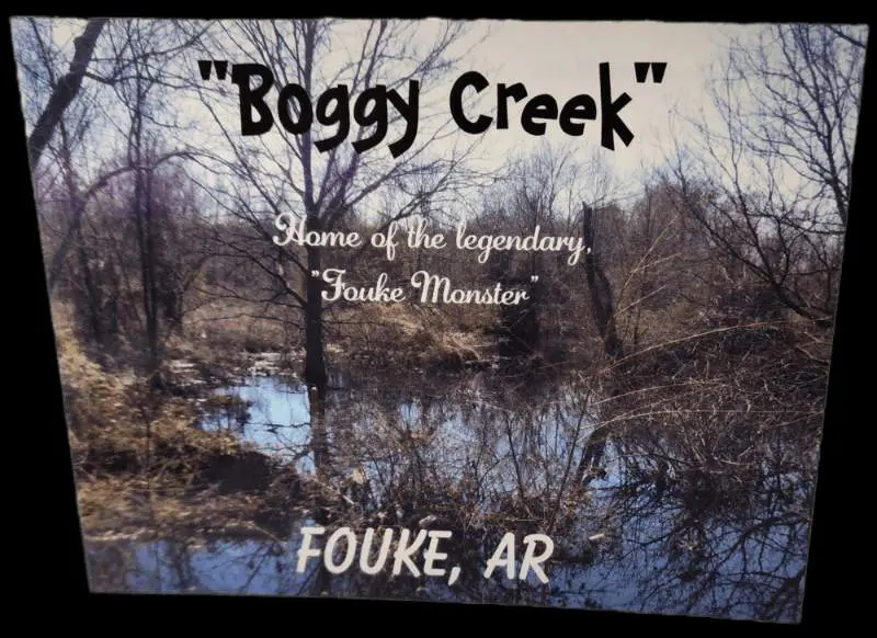 A picture of the boggy creek in fouke, ar.