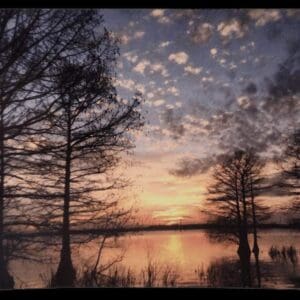 A sunset over the water with trees in front of it.