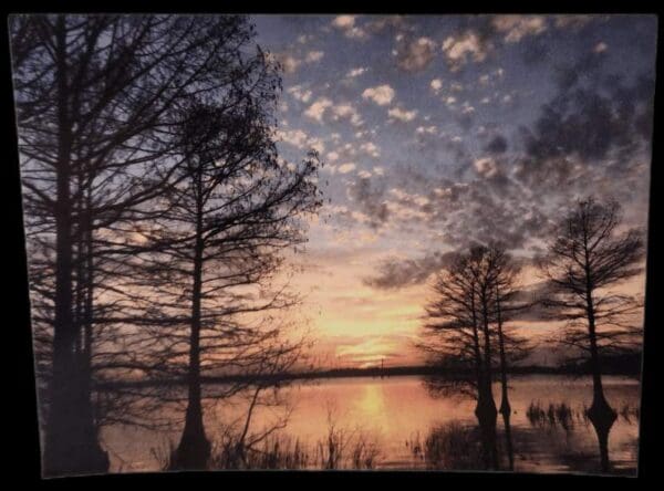 A sunset over the water with trees in front of it.