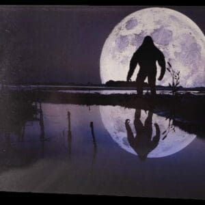 A person standing in front of the moon