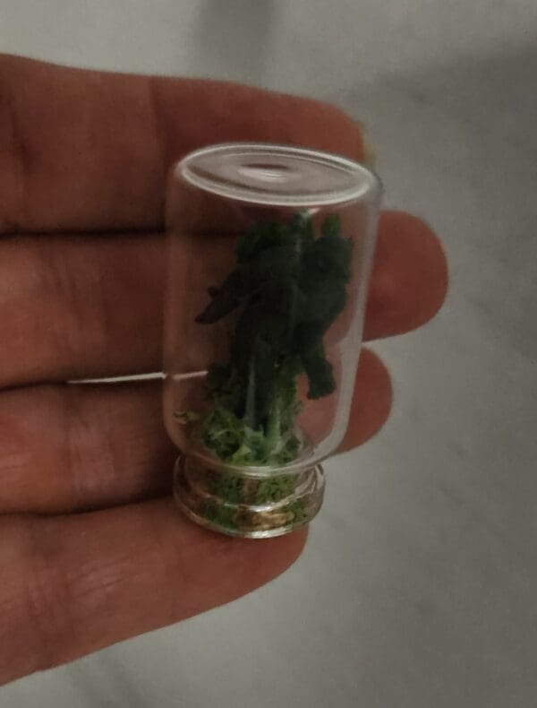 A person holding a small glass jar filled with green plants.